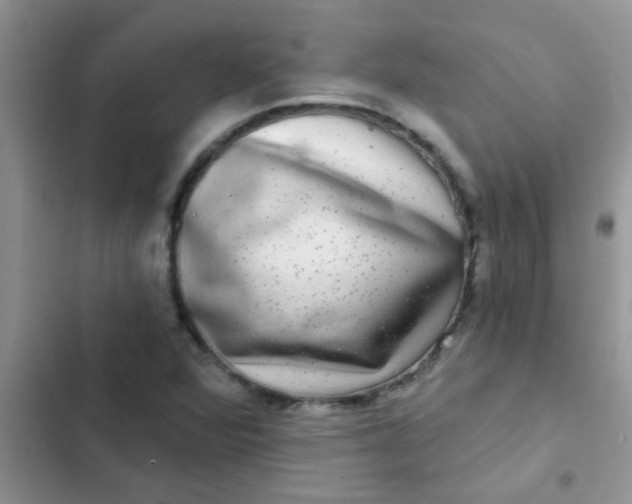 X0000102541360200808221919