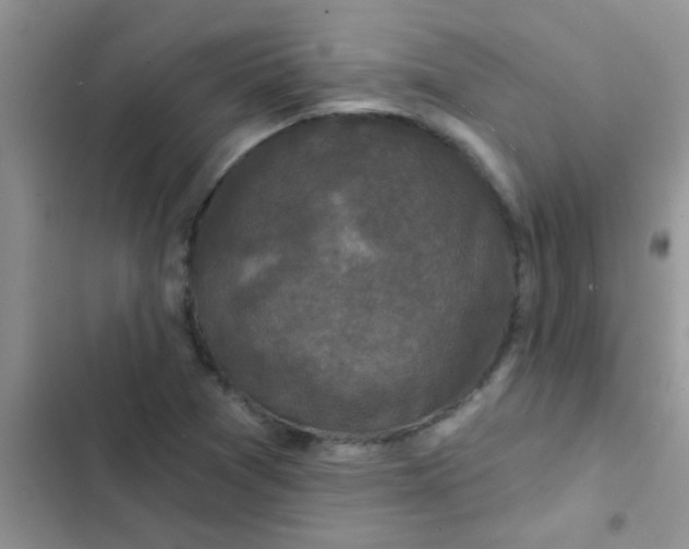 X0000102541361200808221919