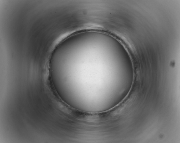 X0000102541363200808221919