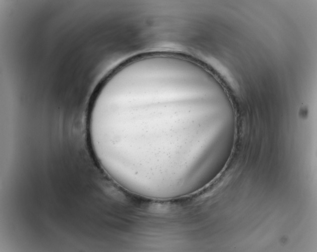 X0000102541364200808221919