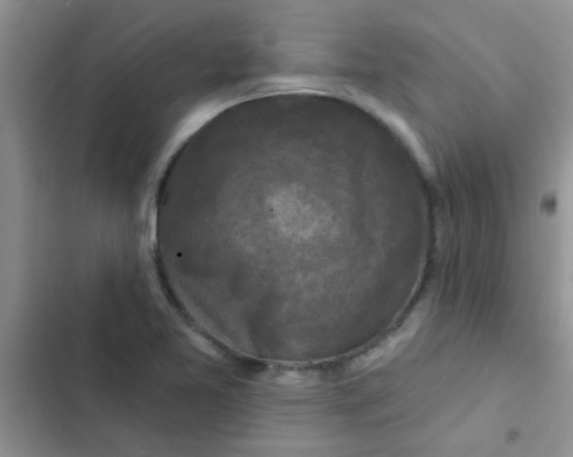 X0000102541365200808221919