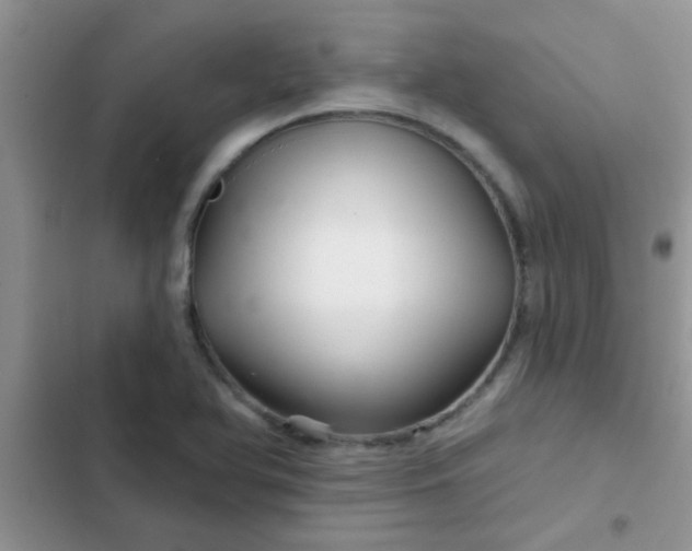 X0000102541366200808221919