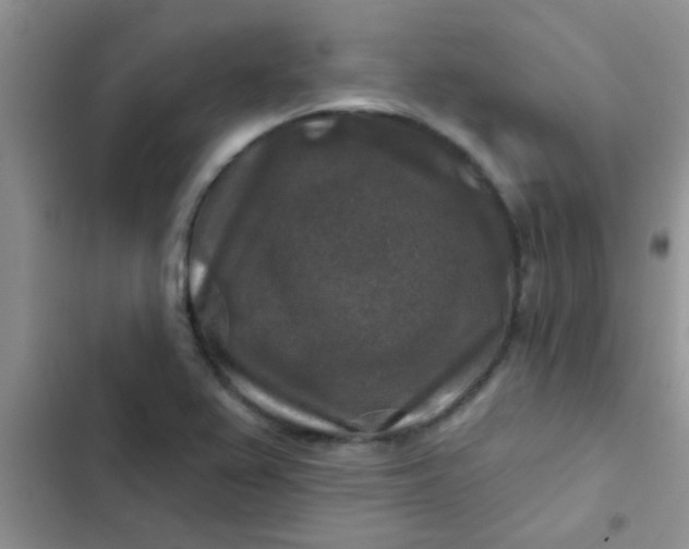 X0000102541367200808221919