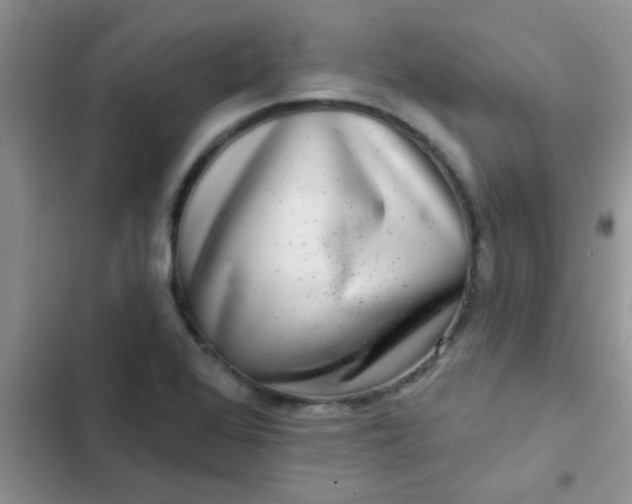 X0000102541368200808221919