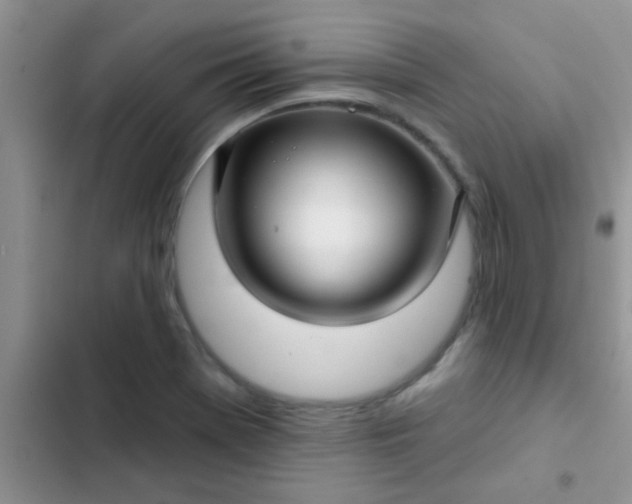 X0000102541369200808221919