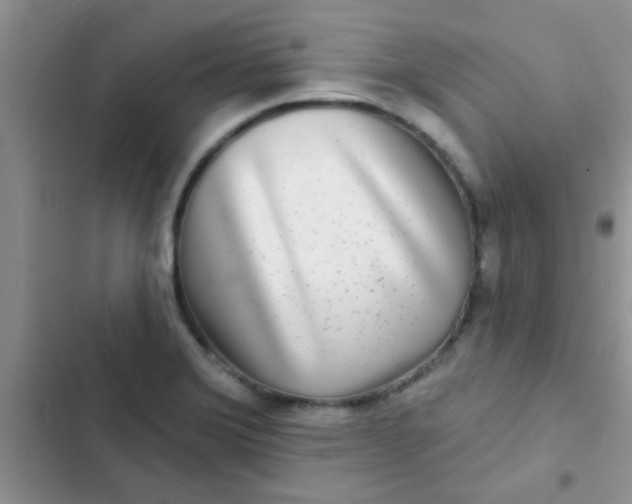 X0000102541372200808221919