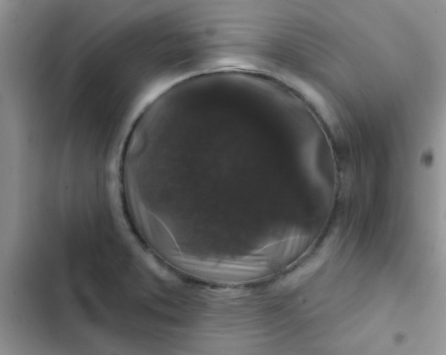 X0000102541373200808221919