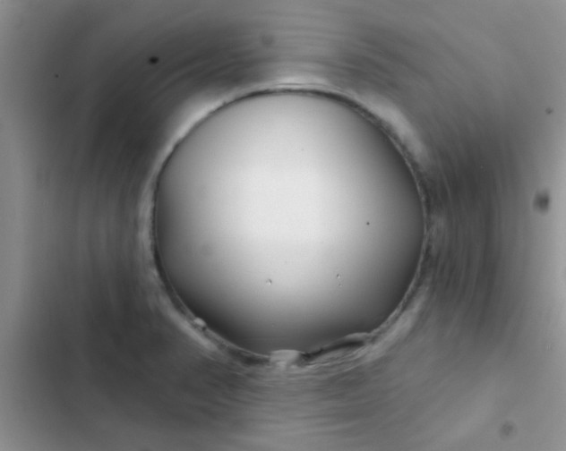 X0000102541374200808221919