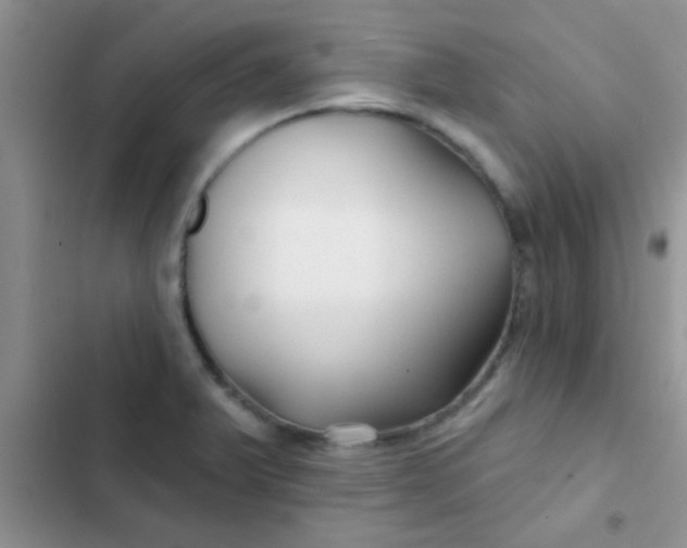 X0000102541375200808221919