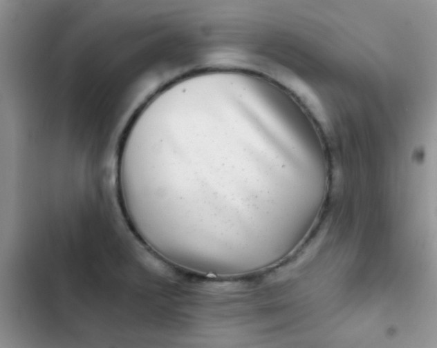 X0000102541376200808221919