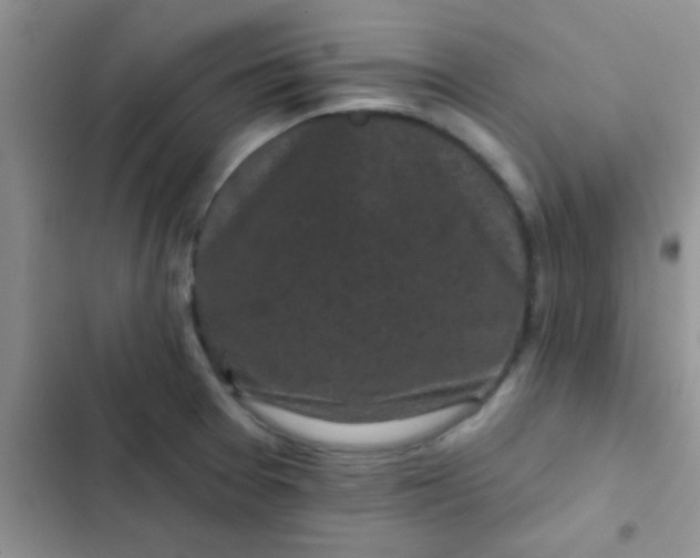 X0000102541377200808221919