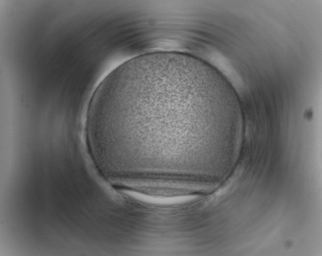 X0000102541378200808221919