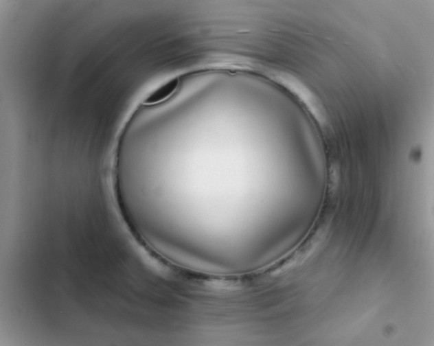 X0000102541379200808221919