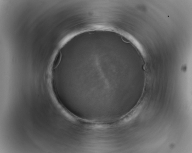 X0000102541381200808221919