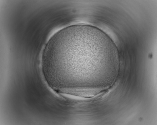 X0000102541382200808221919