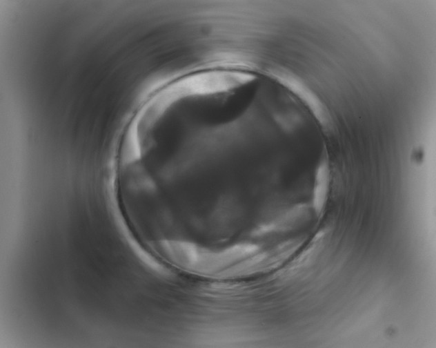 X0000102541383200808221919