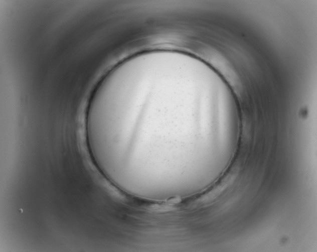 X0000102541384200808221919