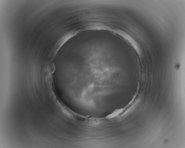 X0000102541385200808221919