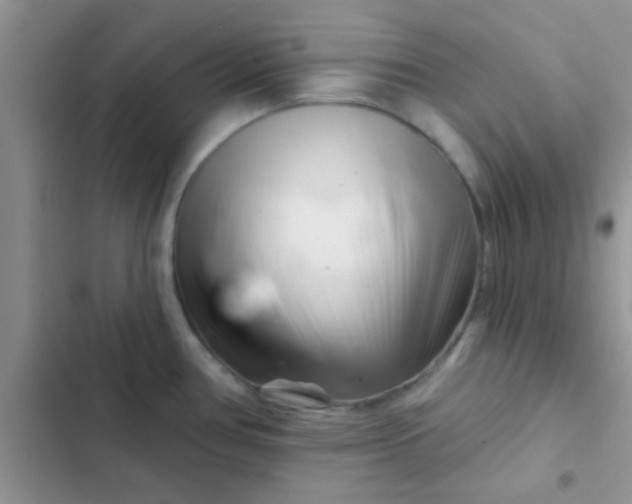 X0000102541386200808221919
