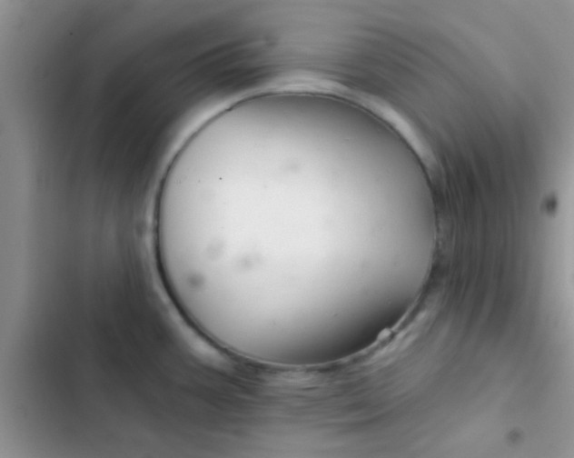 X0000102541387200808221919