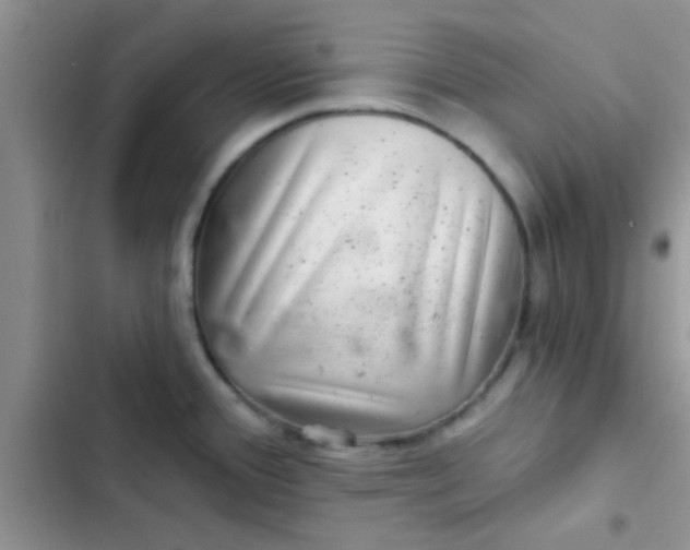 X0000102541388200808221919