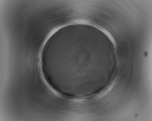 X0000102541389200808221919
