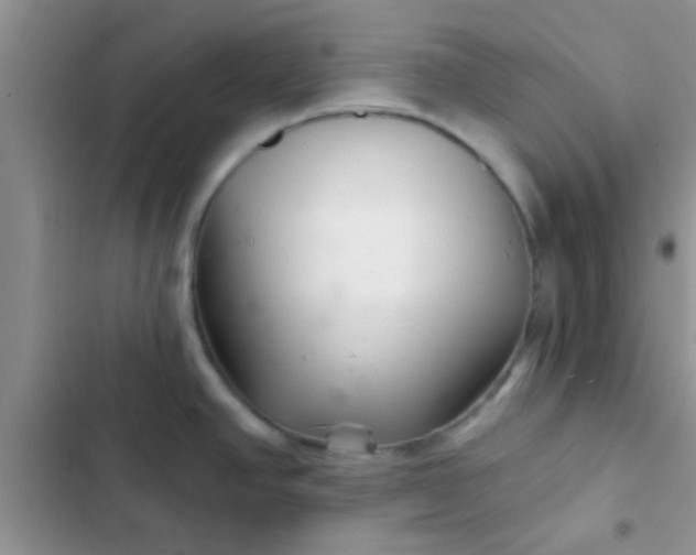 X0000102541390200808221919