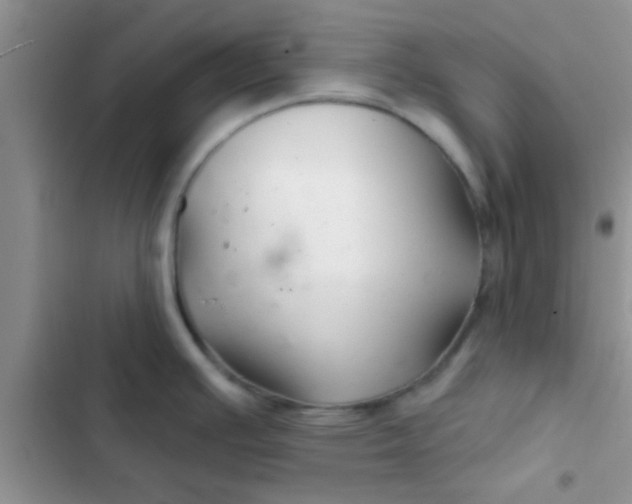 X0000102541391200808221919