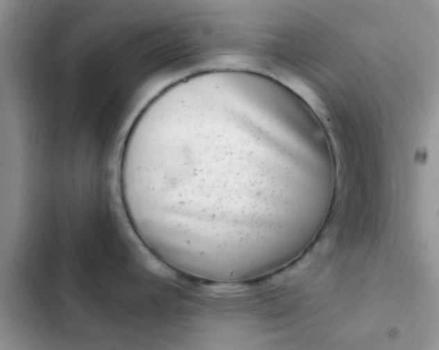 X0000102541392200808221919