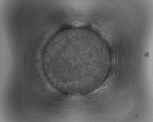 X0000102541393200808221918
