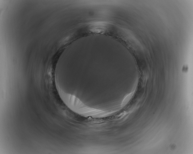X0000102541394200808221918