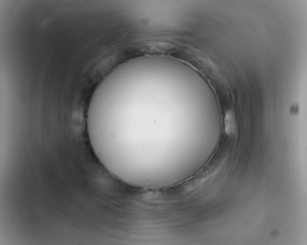 X0000102541395200808221918