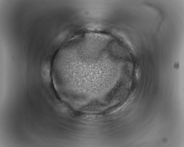 X0000102541396200808221918
