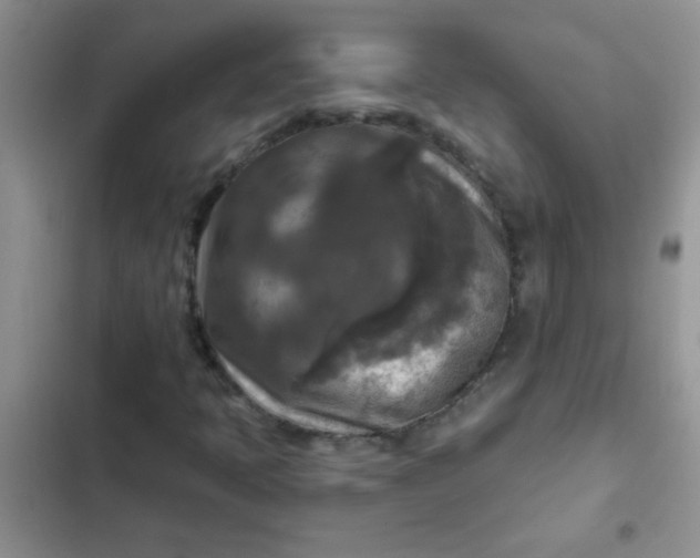 X0000102541397200808221918