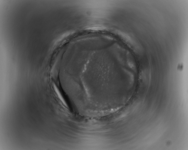 X0000102541398200808221918
