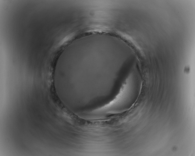X0000102541399200808221918