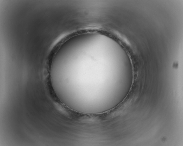 X0000102541400200808221918