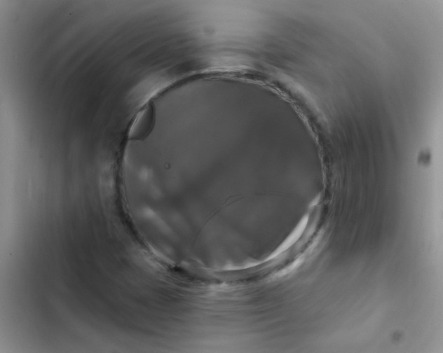 X0000102541401200808221918