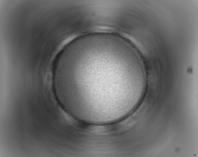 X0000102541402200808221918