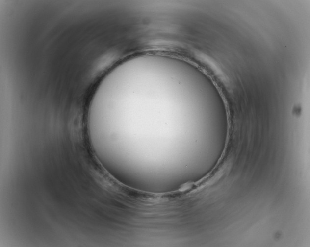 X0000102541403200808221918