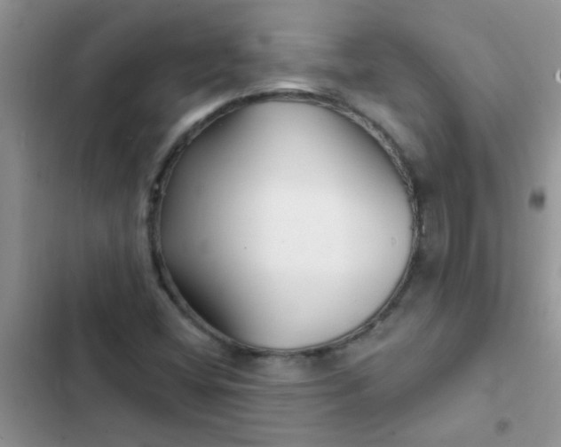 X0000102541404200808221918