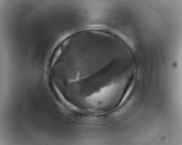 X0000102541405200808221918