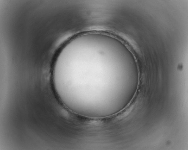 X0000102541406200808221918