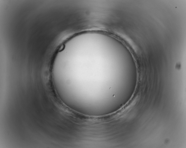 X0000102541407200808221918