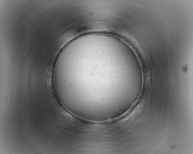 X0000102541409200808221918