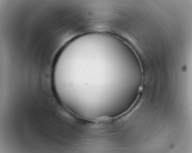 X0000102541410200808221918