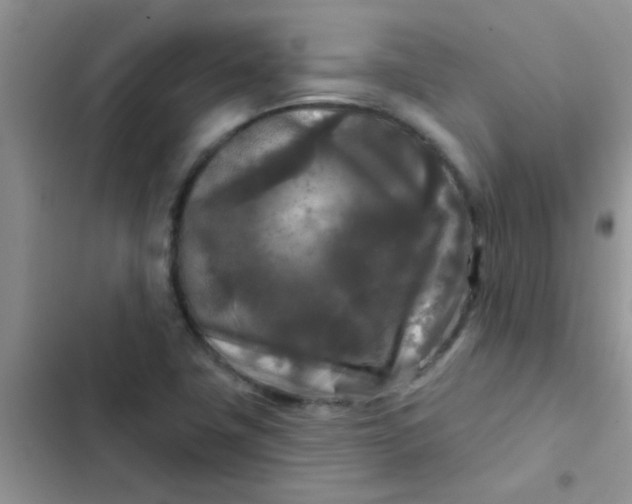 X0000102541411200808221918