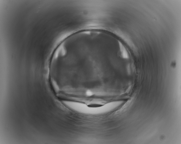 X0000102541413200808221918