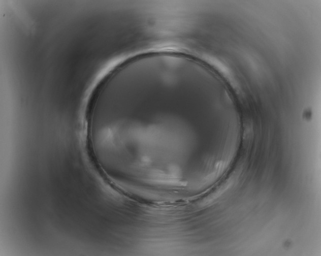 X0000102541414200808221918
