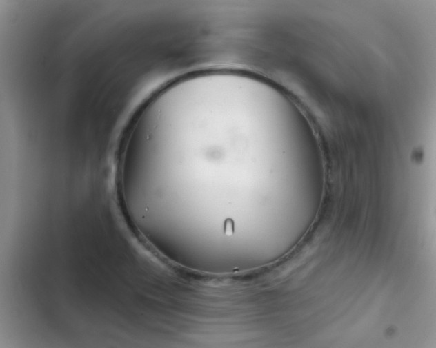 X0000102541416200808221918